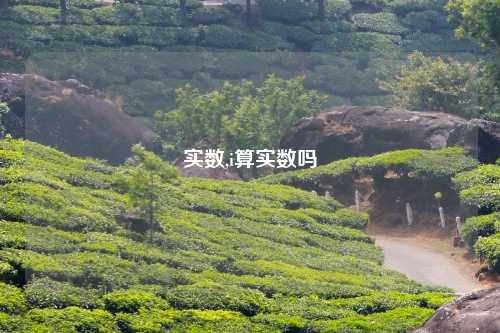实数,i算实数吗