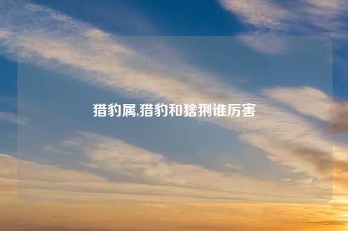 猎豹属,猎豹和猞猁谁厉害