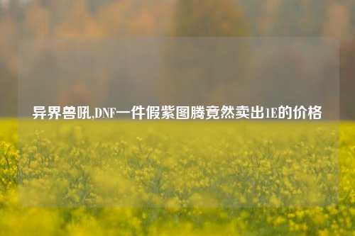 异界兽吼,DNF一件假紫图腾竟然卖出1E的价格