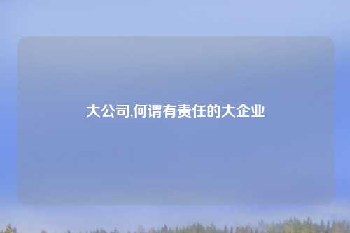 大公司,何谓有责任的大企业