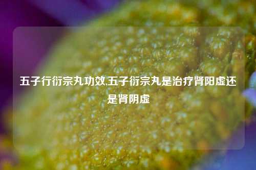 五子行衍宗丸功效,五子衍宗丸是治疗肾阳虚还是肾阴虚