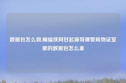 数据包怎么做,蝙蝠侠阿甘起源哥谭警局物证室里的数据包怎么拿