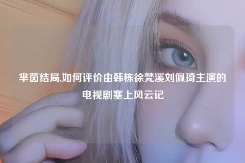 芈茵结局,如何评价由韩栋徐梵溪刘佩琦主演的电视剧塞上风云记