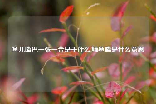 鱼儿嘴巴一张一合是干什么,鲕鱼嘴是什么意思