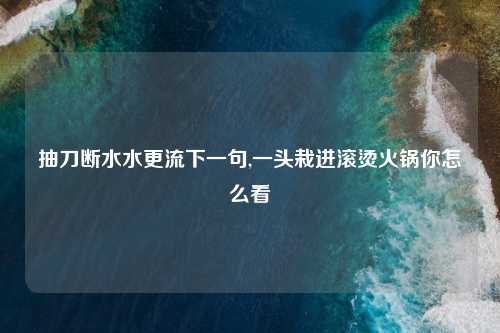 抽刀断水水更流下一句,一头栽进滚烫火锅你怎么看