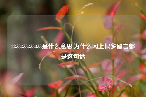 2333333333333是什么意思,为什么网上很多留言都是这句话