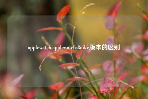 applewatch,applewatchs8nike版本的区别