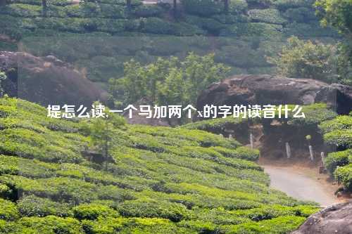 堤怎么读,一个马加两个x的字的读音什么
