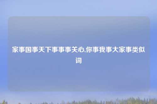 家事国事天下事事事关心,你事我事大家事类似词