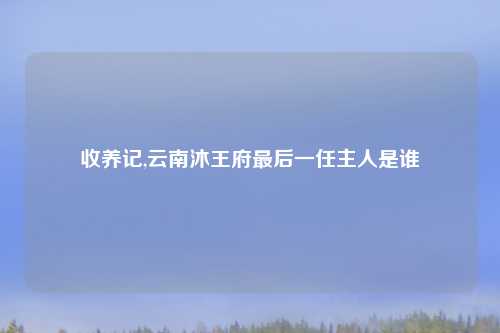 收养记,云南沐王府最后一任主人是谁