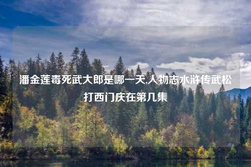 潘金莲毒死武大郎是哪一天,人物志水浒传武松打西门庆在第几集