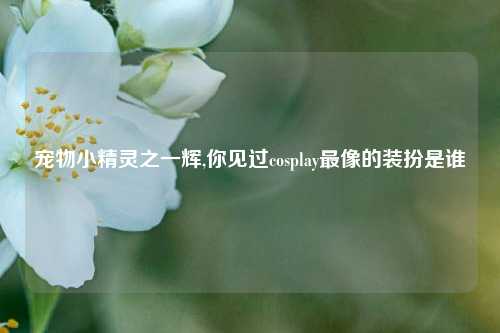 宠物小精灵之一辉,你见过cosplay最像的装扮是谁