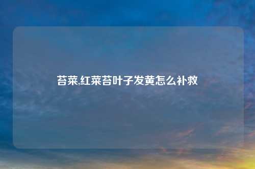 苔菜,红菜苔叶子发黄怎么补救