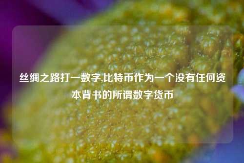 丝绸之路打一数字,比特币作为一个没有任何资本背书的所谓数字货币
