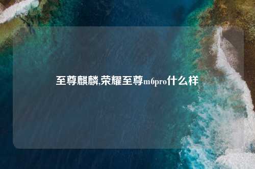 至尊麒麟,荣耀至尊m6pro什么样