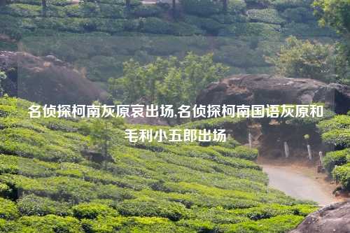 名侦探柯南灰原哀出场,名侦探柯南国语灰原和毛利小五郎出场
