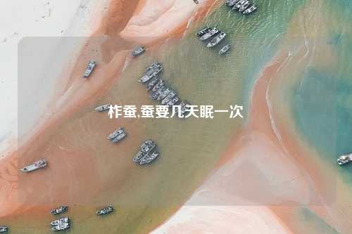 柞蚕,蚕要几天眠一次