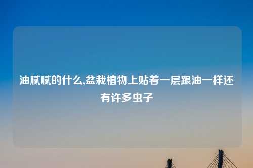 油腻腻的什么,盆栽植物上贴着一层跟油一样还有许多虫子