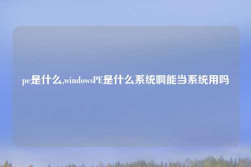 pe是什么,windowsPE是什么系统啊能当系统用吗