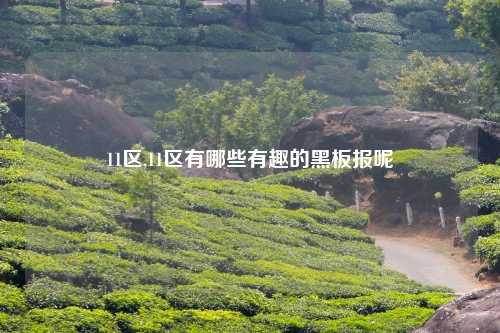11区,11区有哪些有趣的黑板报呢