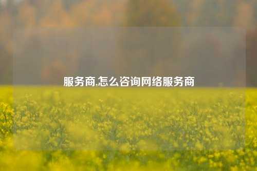 服务商,怎么咨询网络服务商