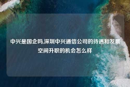 中兴是国企吗,深圳中兴通信公司的待遇和发展空间升职的机会怎么样