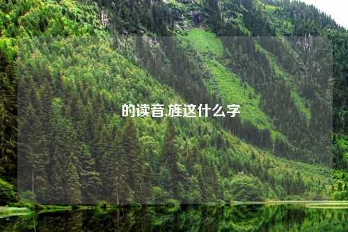 緌的读音,旌这什么字