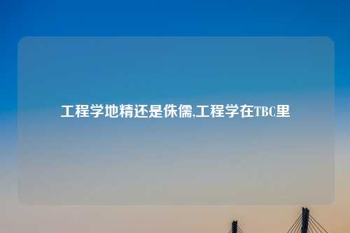 工程学地精还是侏儒,工程学在TBC里