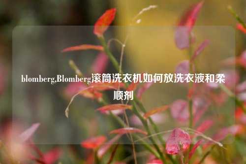 blomberg,Blomberg滚筒洗衣机如何放洗衣液和柔顺剂