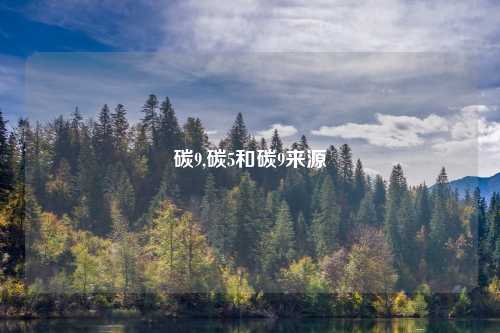碳9,碳5和碳9来源