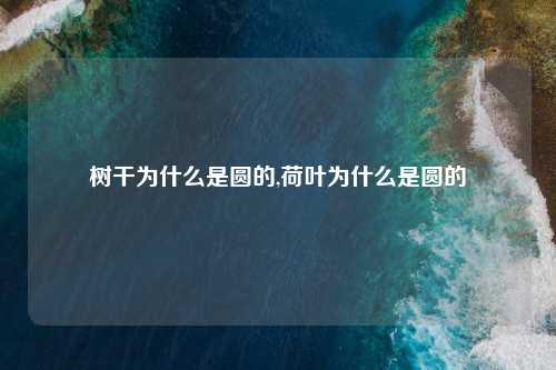 树干为什么是圆的,荷叶为什么是圆的