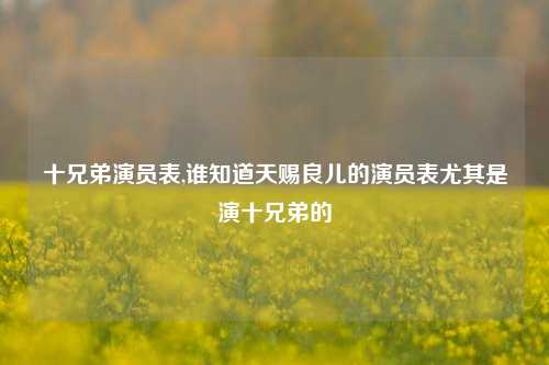 十兄弟演员表,谁知道天赐良儿的演员表尤其是演十兄弟的