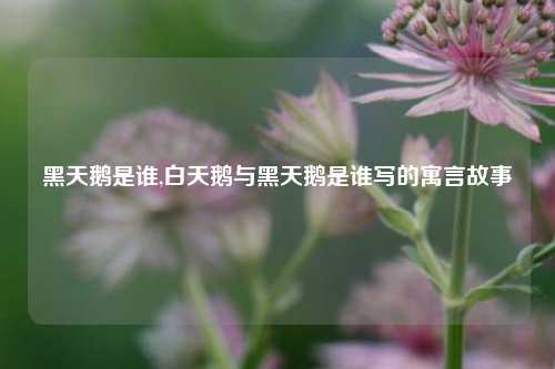 黑天鹅是谁,白天鹅与黑天鹅是谁写的寓言故事