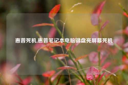惠普死机,惠普笔记本电脑键盘亮屏幕死机