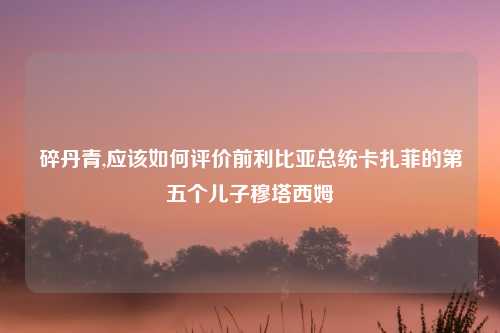 碎丹青,应该如何评价前利比亚总统卡扎菲的第五个儿子穆塔西姆