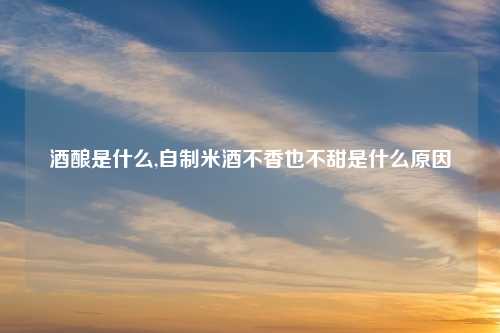 酒酿是什么,自制米酒不香也不甜是什么原因