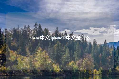 iphone中文,iphone12中文是什么