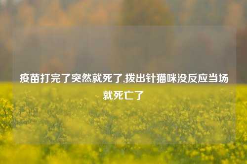 疫苗打完了突然就死了,拨出针猫咪没反应当场就死亡了