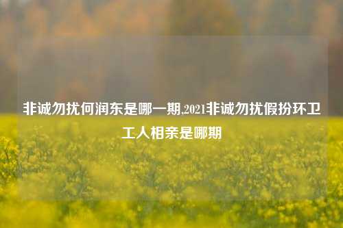 非诚勿扰何润东是哪一期,2021非诚勿扰假扮环卫工人相亲是哪期