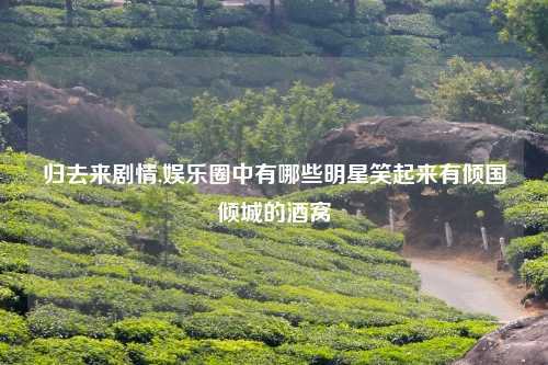 归去来剧情,娱乐圈中有哪些明星笑起来有倾国倾城的酒窝