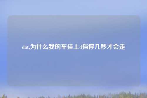 dat,为什么我的车挂上d挡停几秒才会走