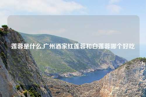 莲蓉是什么,广州酒家红莲蓉和白莲蓉哪个好吃