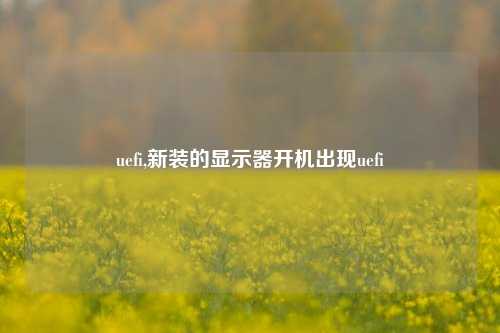 uefi,新装的显示器开机出现uefi