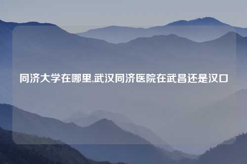 同济大学在哪里,武汉同济医院在武昌还是汉口