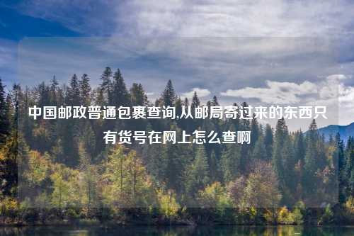 中国邮政普通包裹查询,从邮局寄过来的东西只有货号在网上怎么查啊