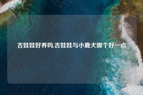 吉娃娃好养吗,吉娃娃与小鹿犬哪个好一点