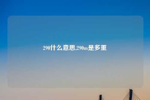 290什么意思,290m是多重