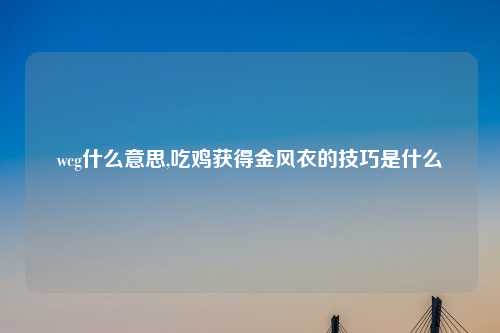 wcg什么意思,吃鸡获得金风衣的技巧是什么