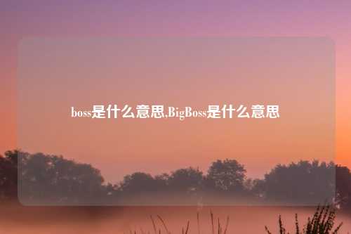 boss是什么意思,BigBoss是什么意思