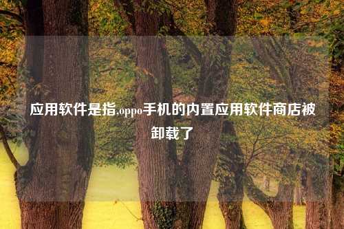 应用软件是指,oppo手机的内置应用软件商店被卸载了